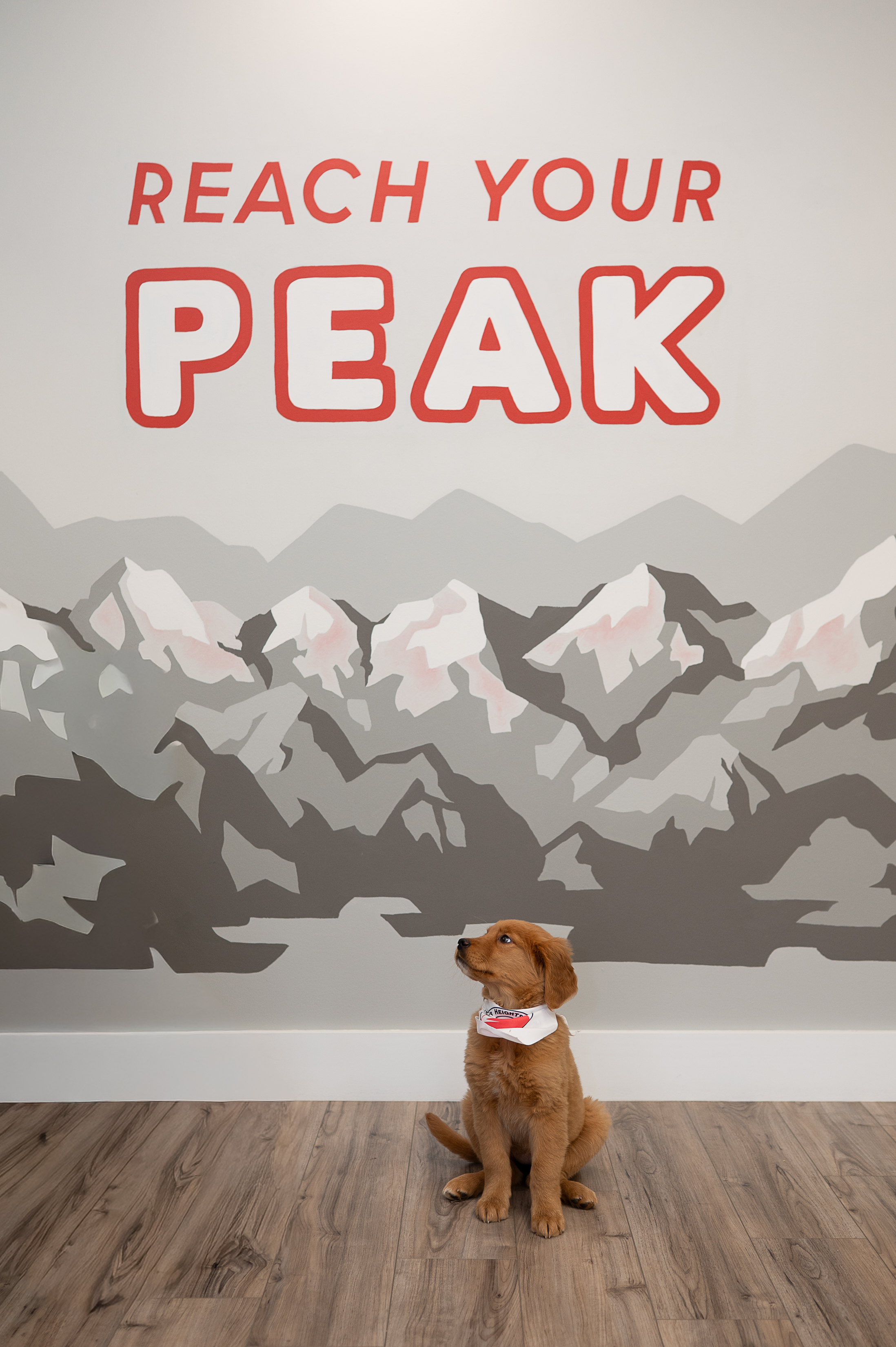 Higher Heights Fitness Image