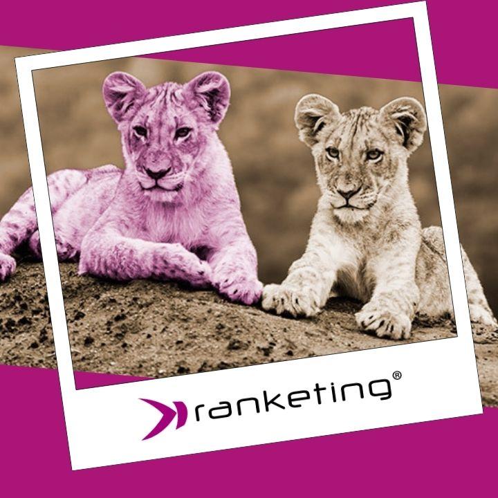 Bilder Ranketing GmbH - Online-Marketing-Agentur - SEO