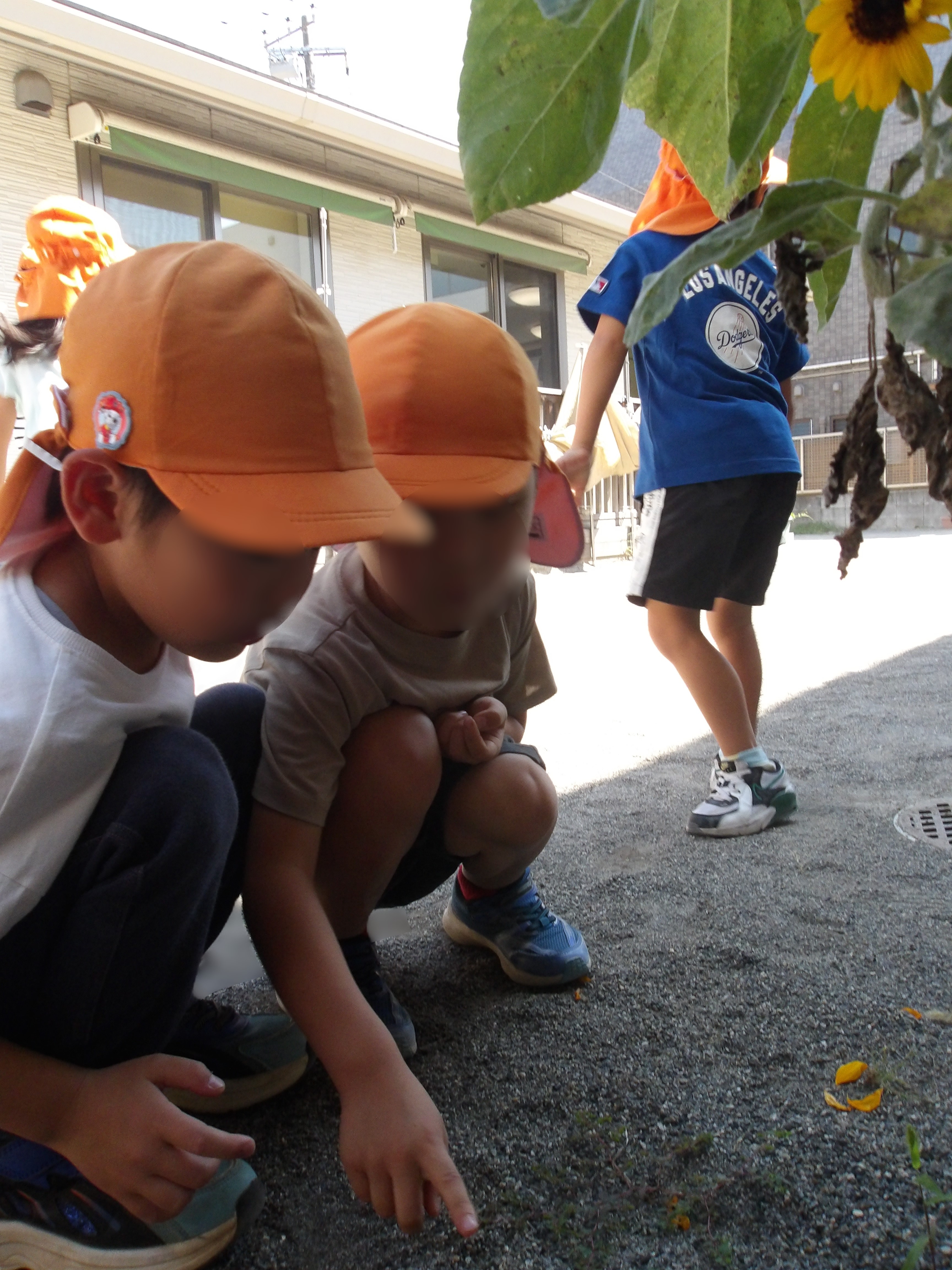 Images 幕張本郷すきっぷ保育園