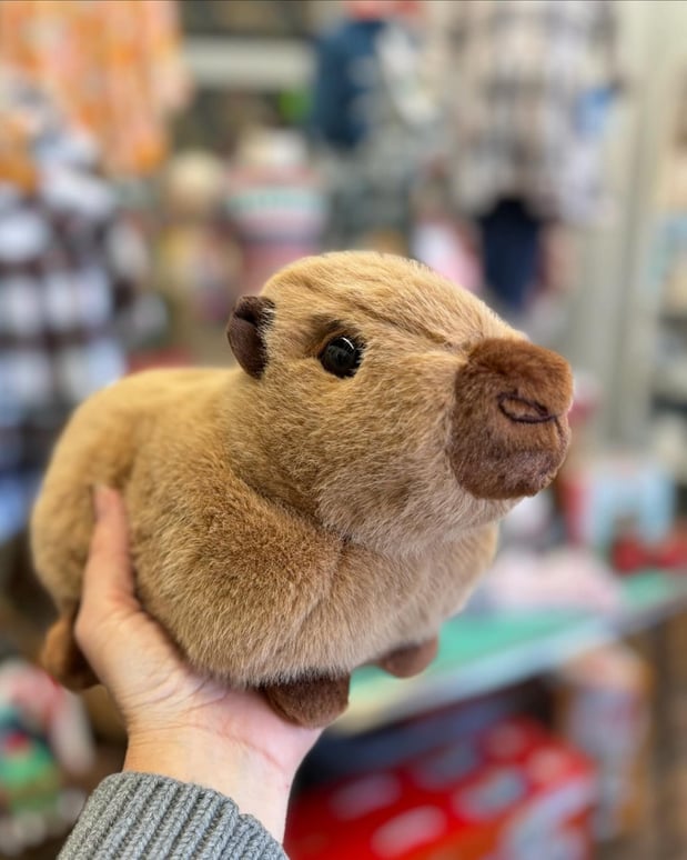 Images Toodleydoo Toys