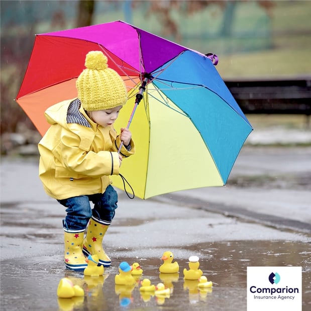 Images Iestyn Llyr Dulais at Comparion Insurance Agency