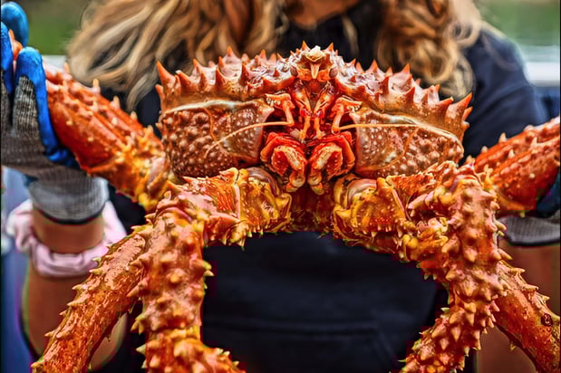 Images Bering Sea Crab Fishermen's Tour