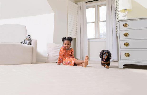 Images Delta Chem-Dry Carpet & Upholstery Cleaning