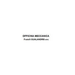 Officina Meccanica Fratelli Gualandris Logo