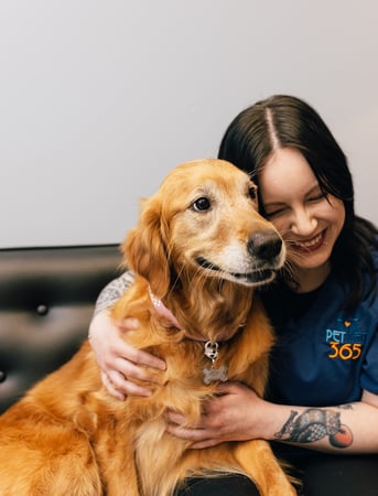 Images PetVet365 Pet Hospital Louisville / Jeffersontown