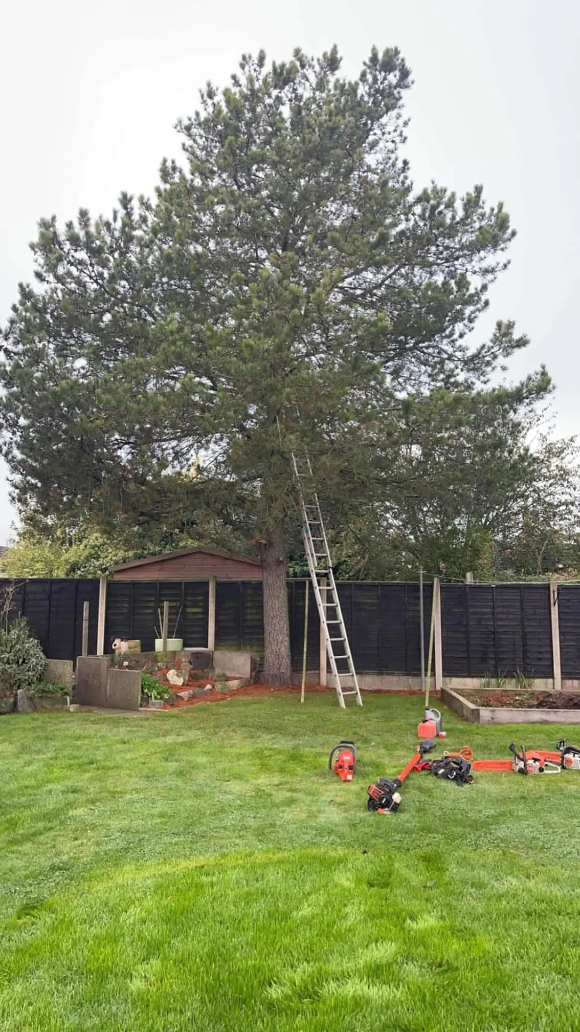 Images Oakwood Tree & Landscaping Services