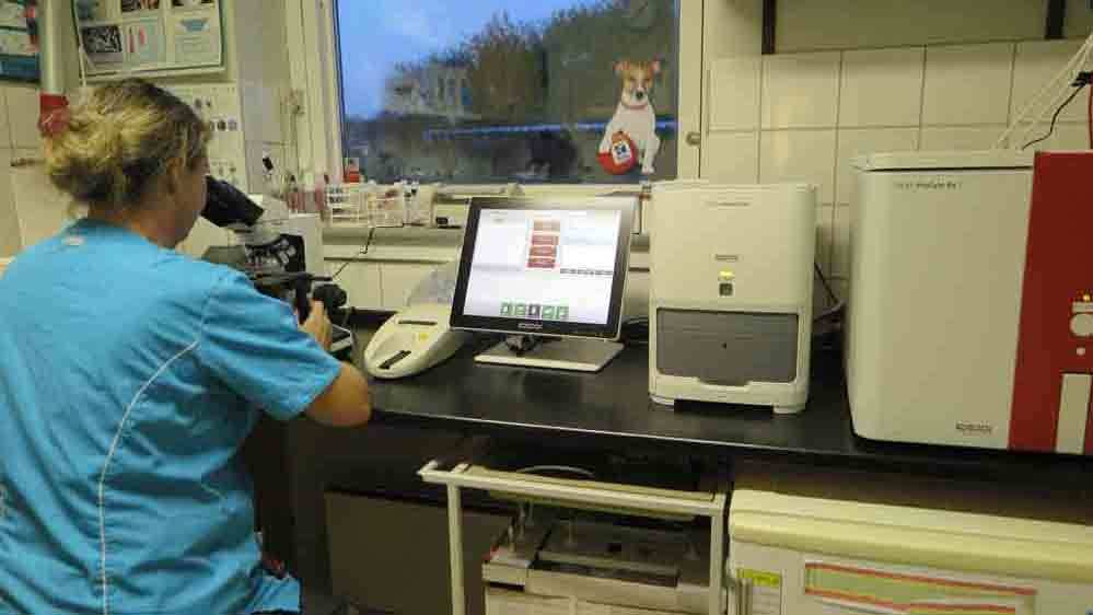 Images Store Heddinge Dyrehospital