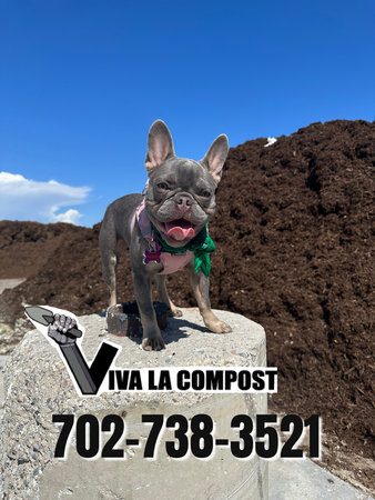 Images Viva La Compost