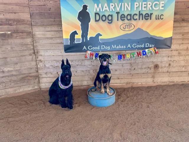 Images Marvin Pierce Dog Teacher LLC