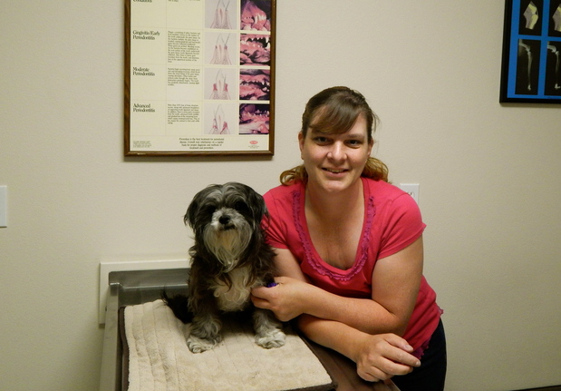 Images VCA Westside Animal Hospital