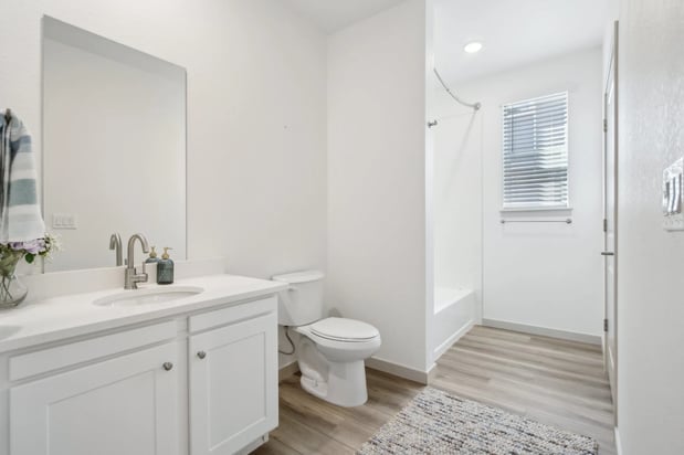 Images Arrive Longmont