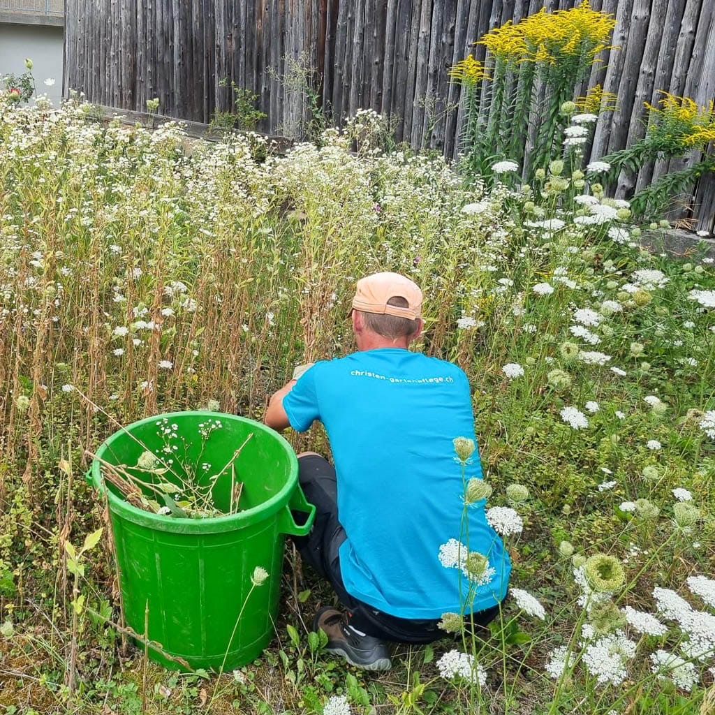 Bilder Invaphyt GmbH