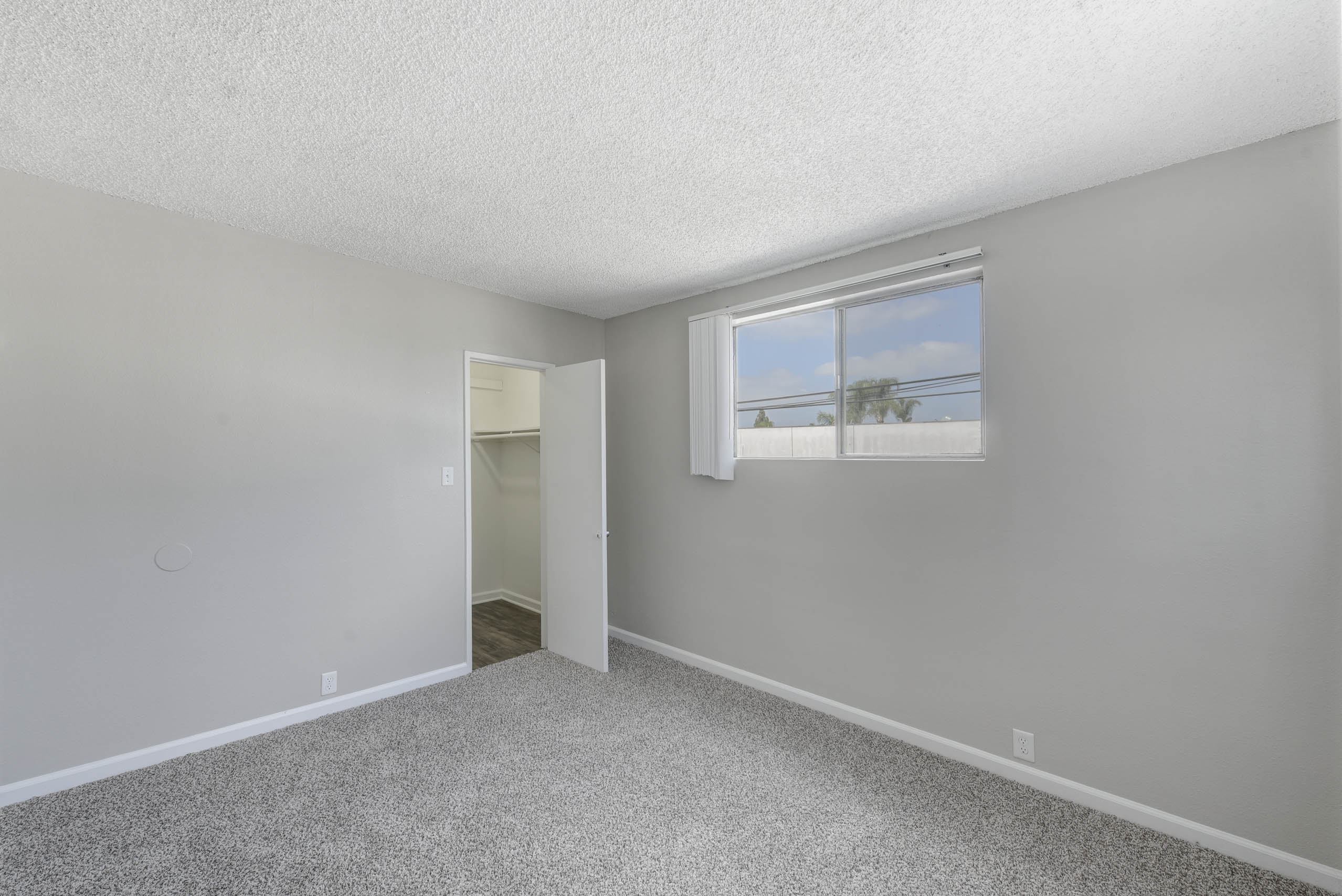 Wall-To-Wall Carpeting