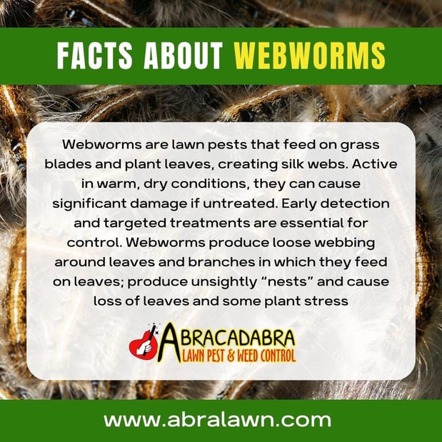 Images Abracadabra Lawn Pest & Weed Control