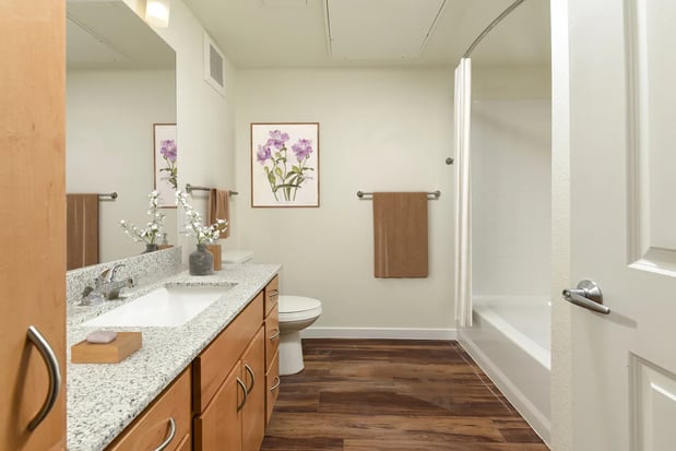 Images The Addie at Metro Center 55+ Apartments