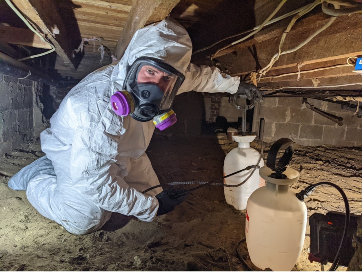 Crawl space mold remediation photo showing a technician preparing the area for safe cleaning and treatment.