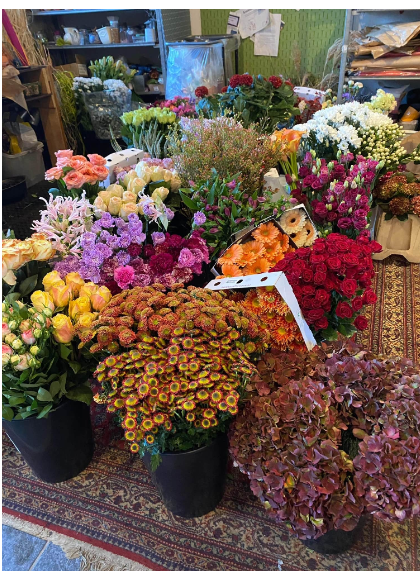 Images Blumen