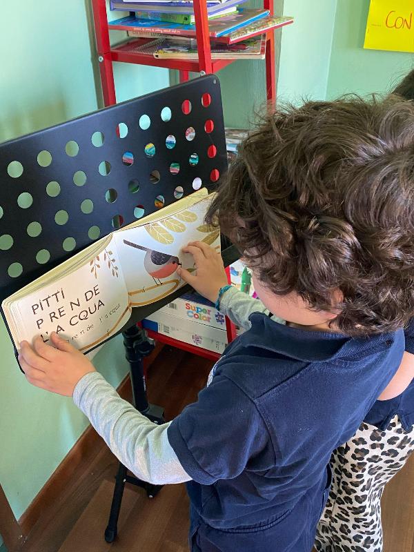 Images Alexandria International School