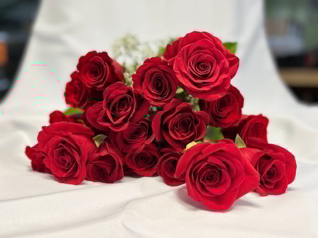 Images DBG Flowers - Shelby