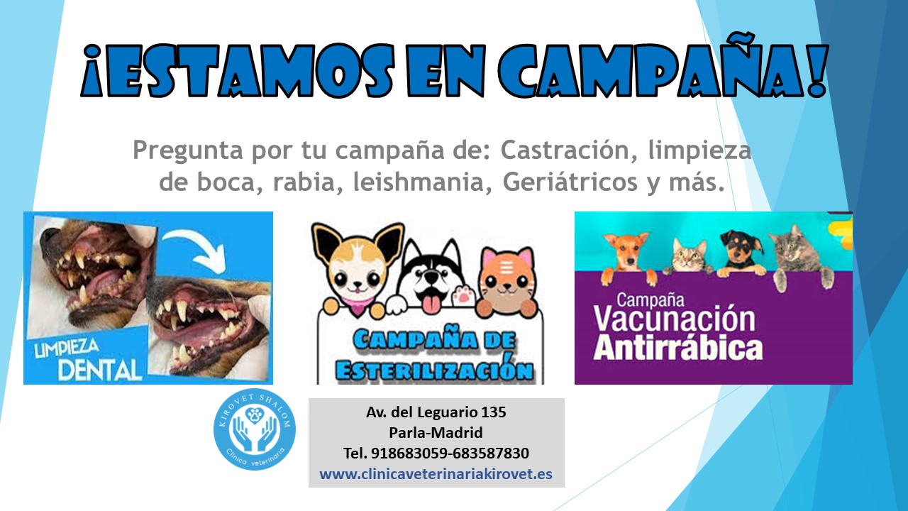 Images Clínica Veterinaria Kirovet Shalom S.L.