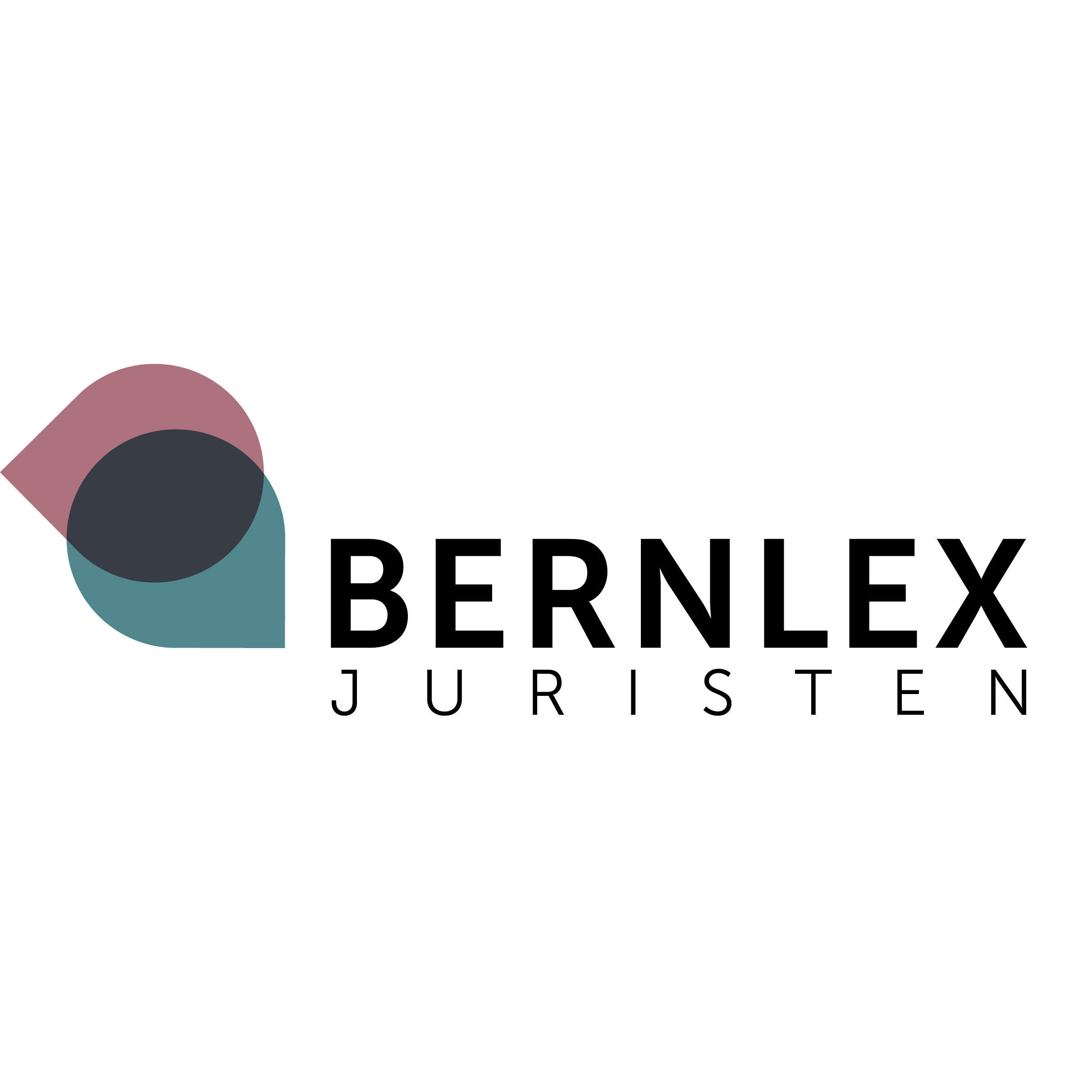 BernLex Juristen KLG Logo