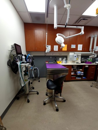 Images VCA Lantern Road Animal Hospital