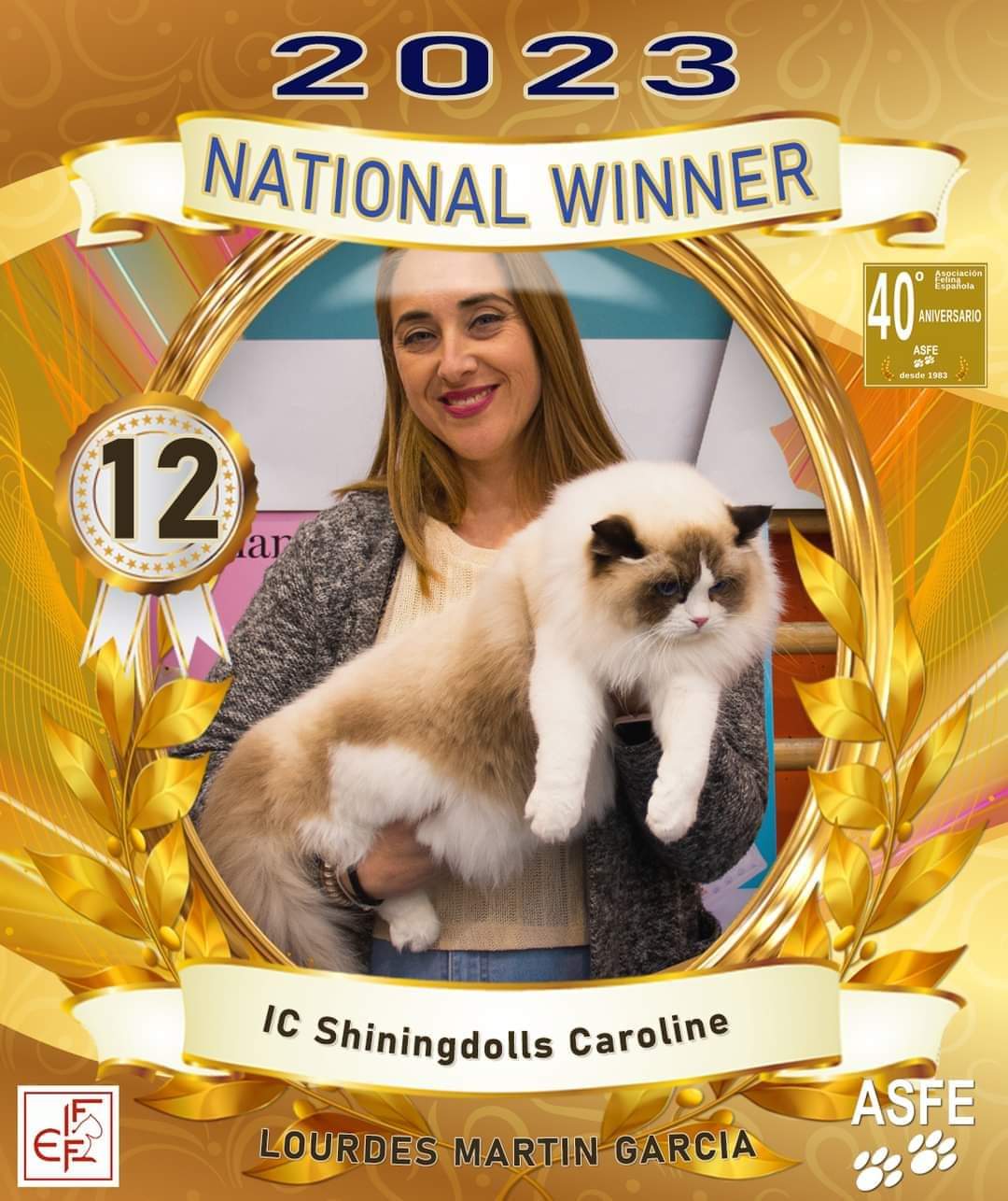 Images Ragdoll RagSweet