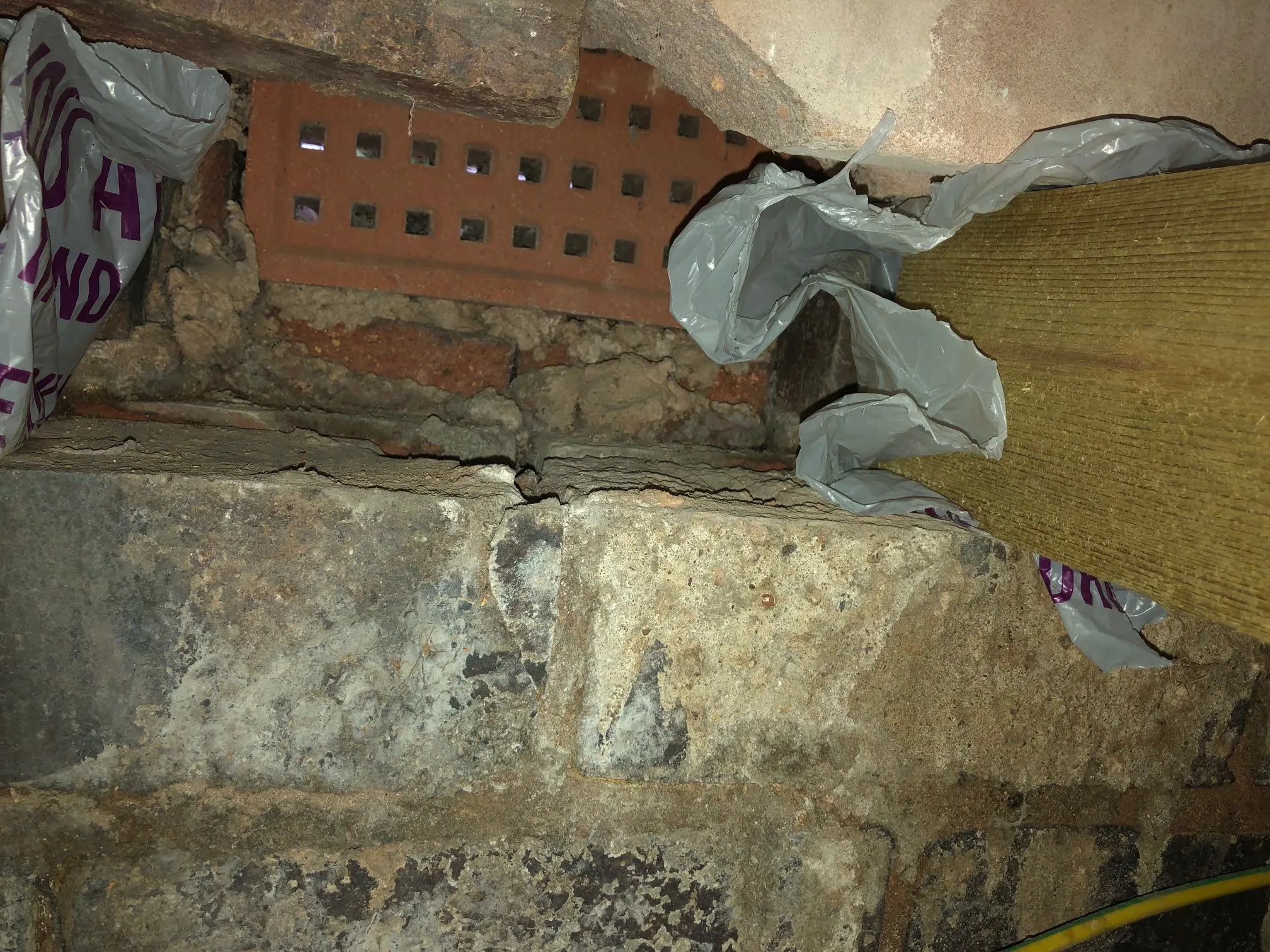 Images Damp Detectives