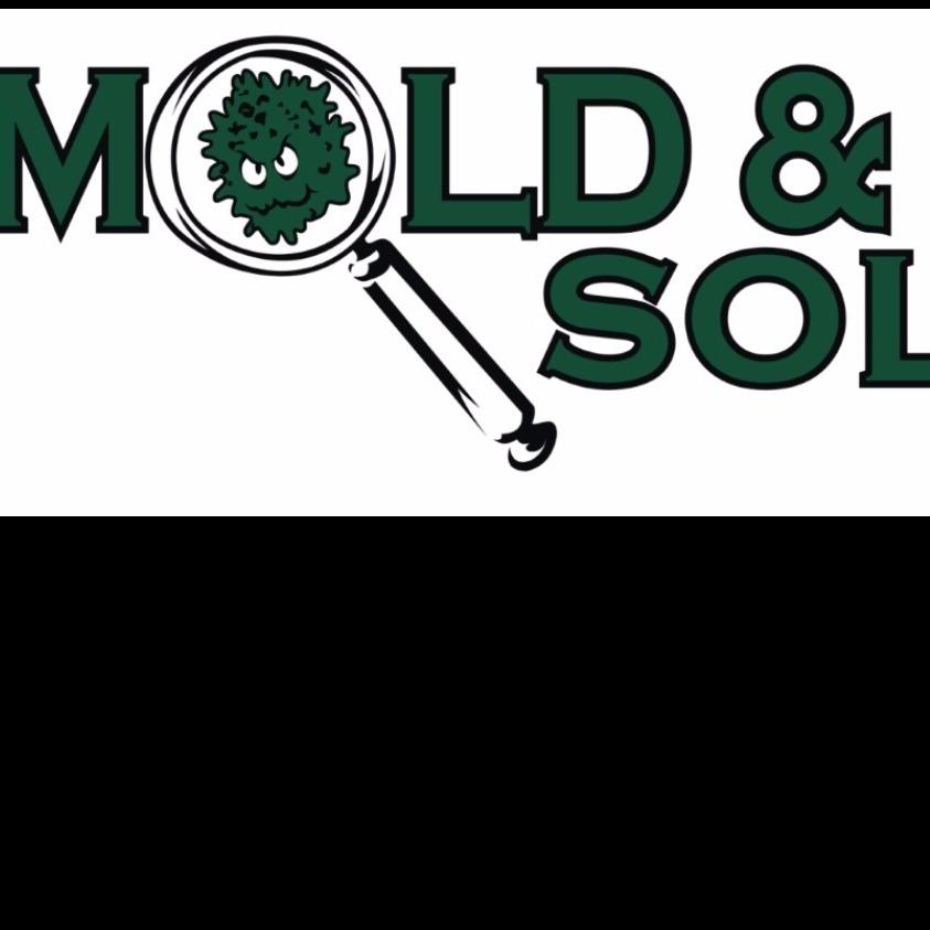 Mold & Mildew Solutions LLC