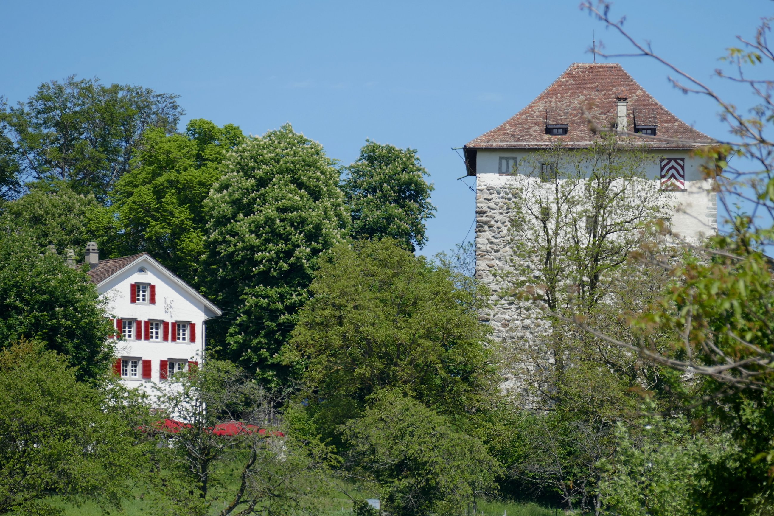 Bilder Gasthaus Schlosshalde