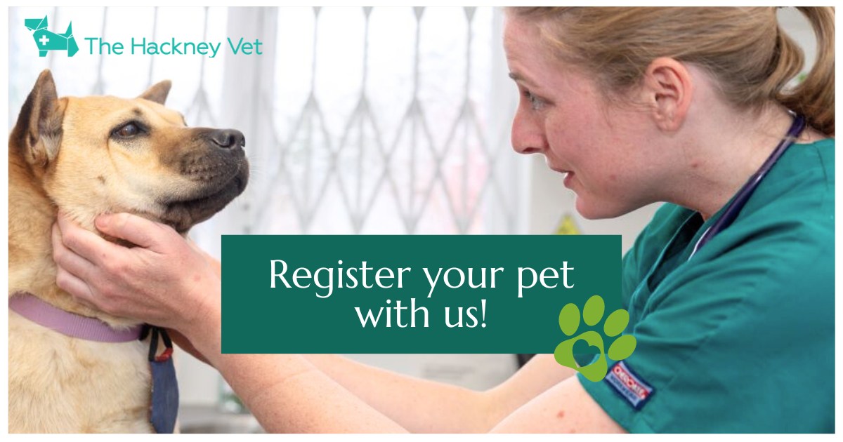 Images The Hackney Vet