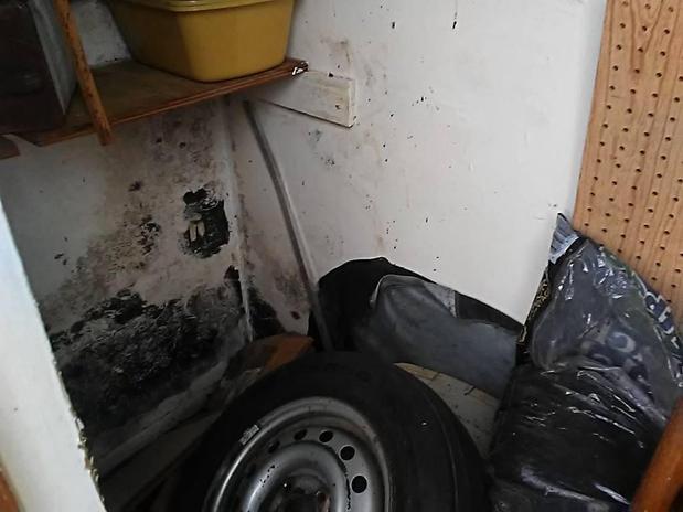 Images Mold Remediation and Water Restoration Pros