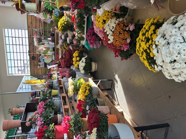 Images K.E.M. Impianti