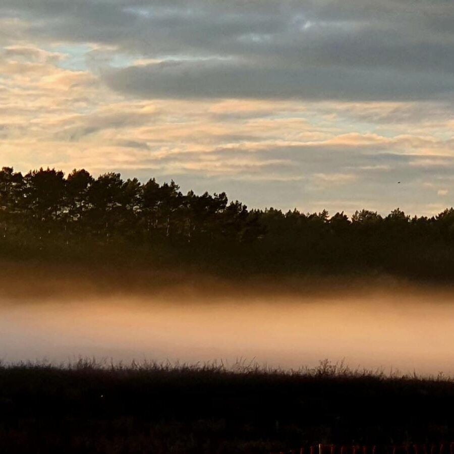 Fastenwanderzeit, Fleether Mühle 1 in Mirow