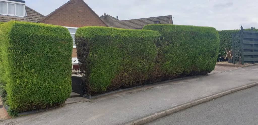 Images Kingston Views Landscaping