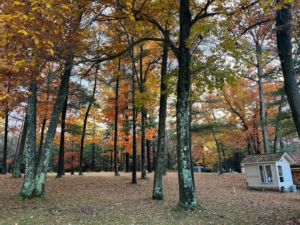 Images PINE BEACH COTTAGES LLC