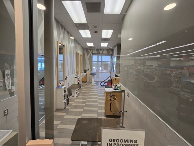 Images Petco Grooming