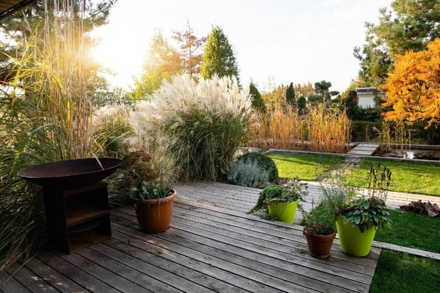 Images Grime Fighters Soft Wash