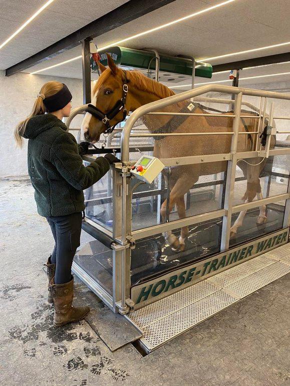 Images LM Horse Retreat ApS
