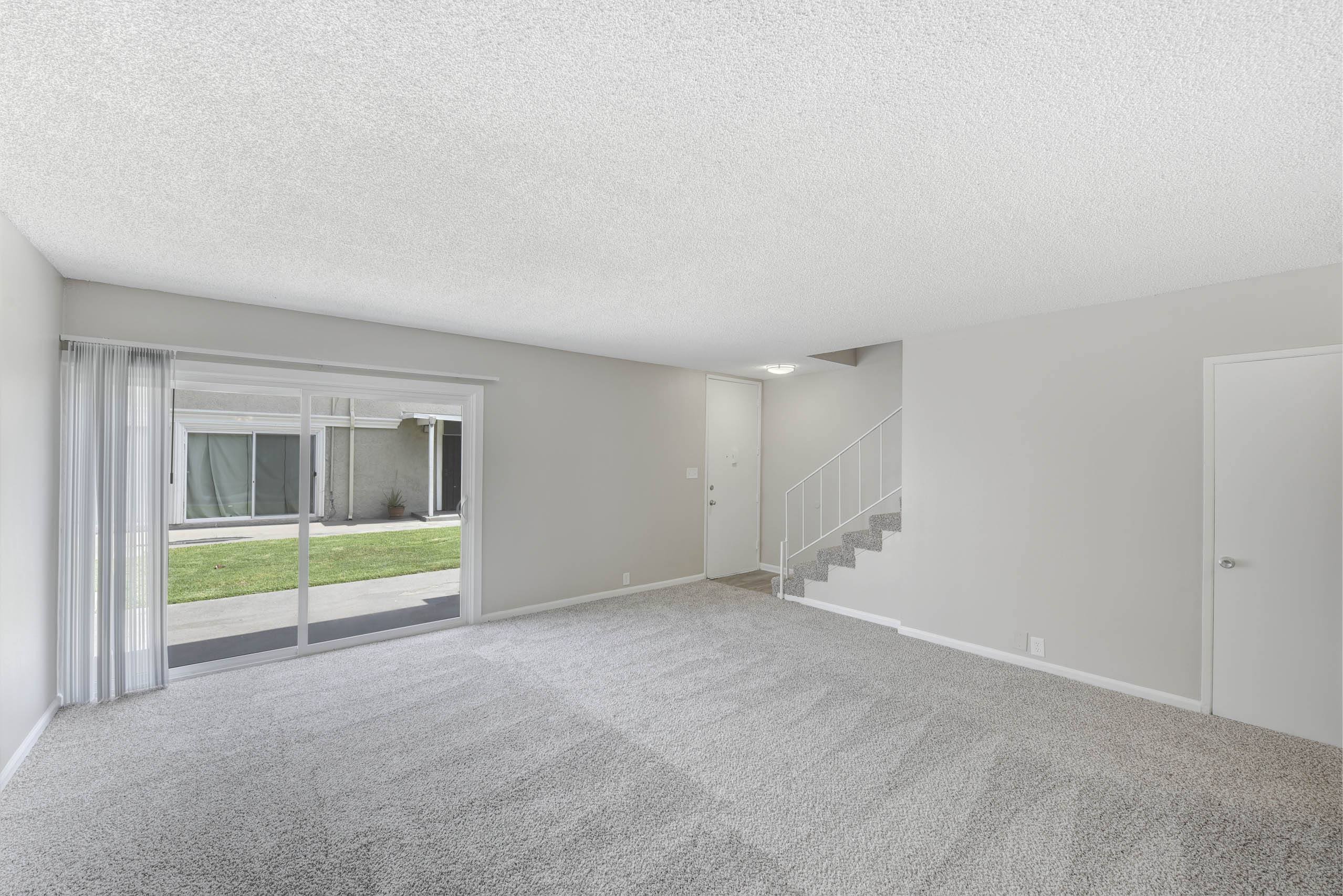 Wall-To-Wall Carpeting