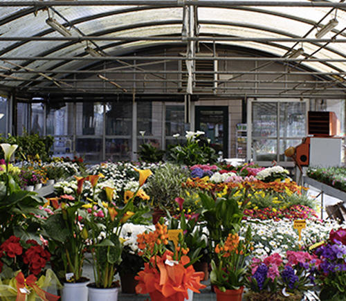 Images Azienda Agricola Ferrario