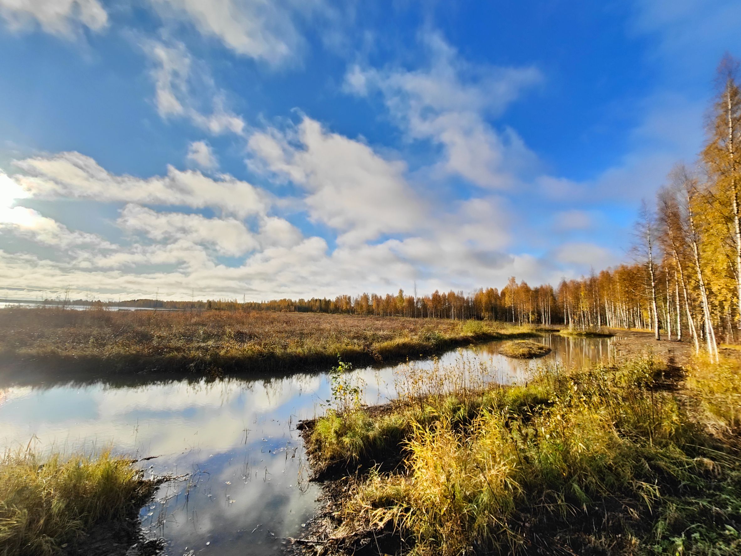 Images Watec Consulting Oy