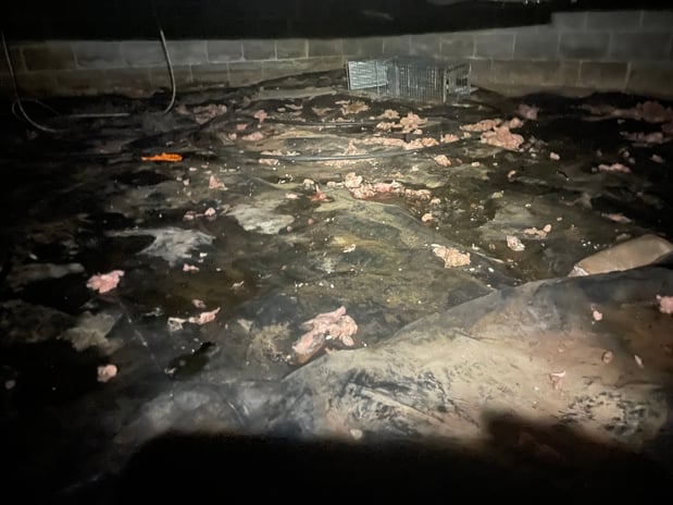 Images Ox Foundation Solutions