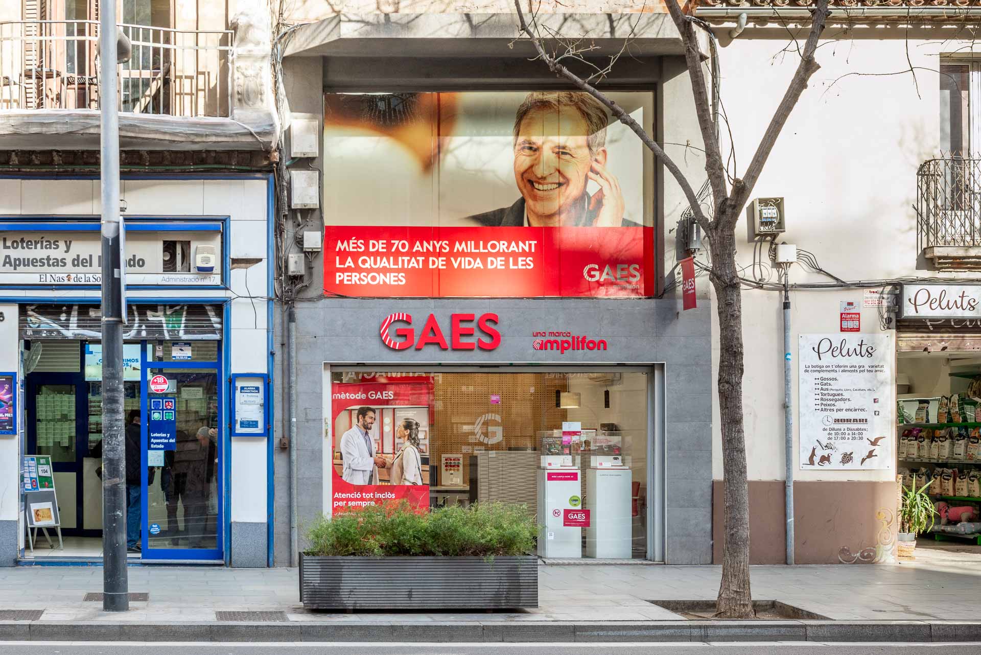 Galería en miniatura
