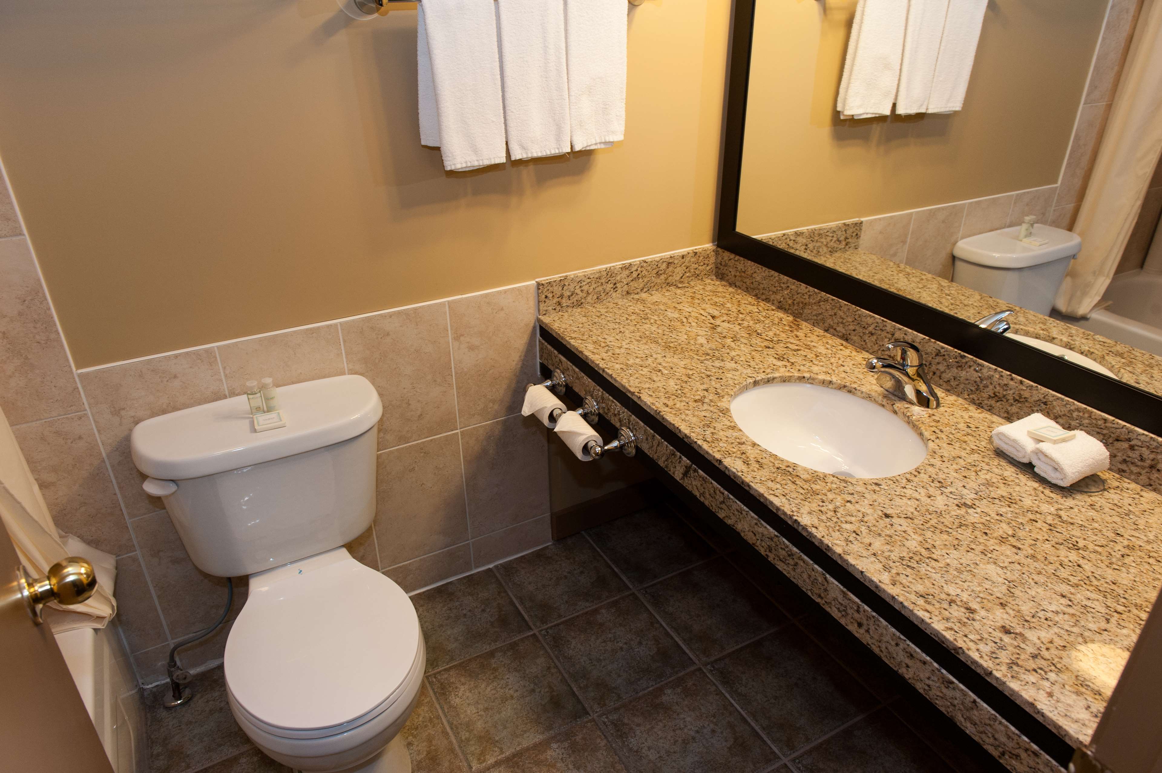 Guest Bathroom Best Western Maple Ridge Hotel Maple Ridge (604)467-1511