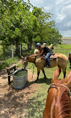Images Rosemary Horse Ranch