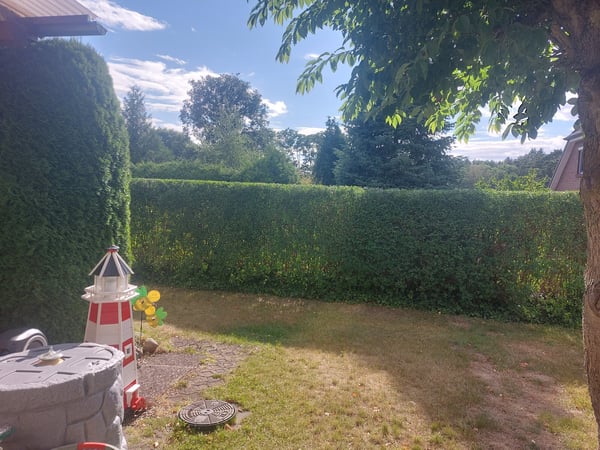 Bilder Baumdienst Renner