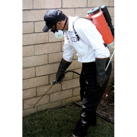 Bugs-R-Us Pest Control and Pressure Washing