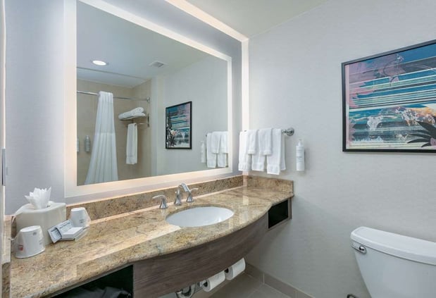 Images Hilton Garden Inn Dallas/Arlington
