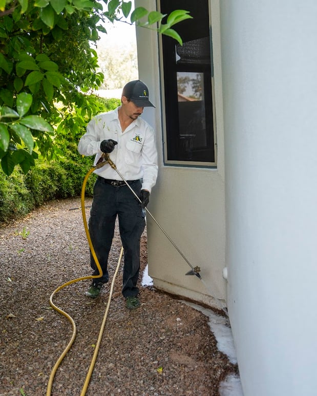 Images Ozone Pest Control